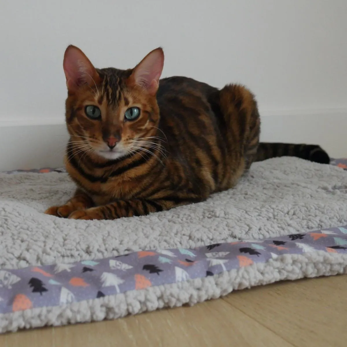 Cupid & Comet | Luxury Winter Forest | Christmas Cat Blanket