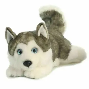 Husky Aurora Plush Miyoni Husky 26263 Lying Down 11" Cuddly Soft Teddy Toy Dog
