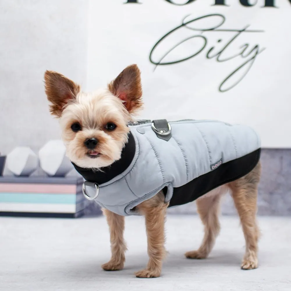 Urban Runner Dog Coat Grey