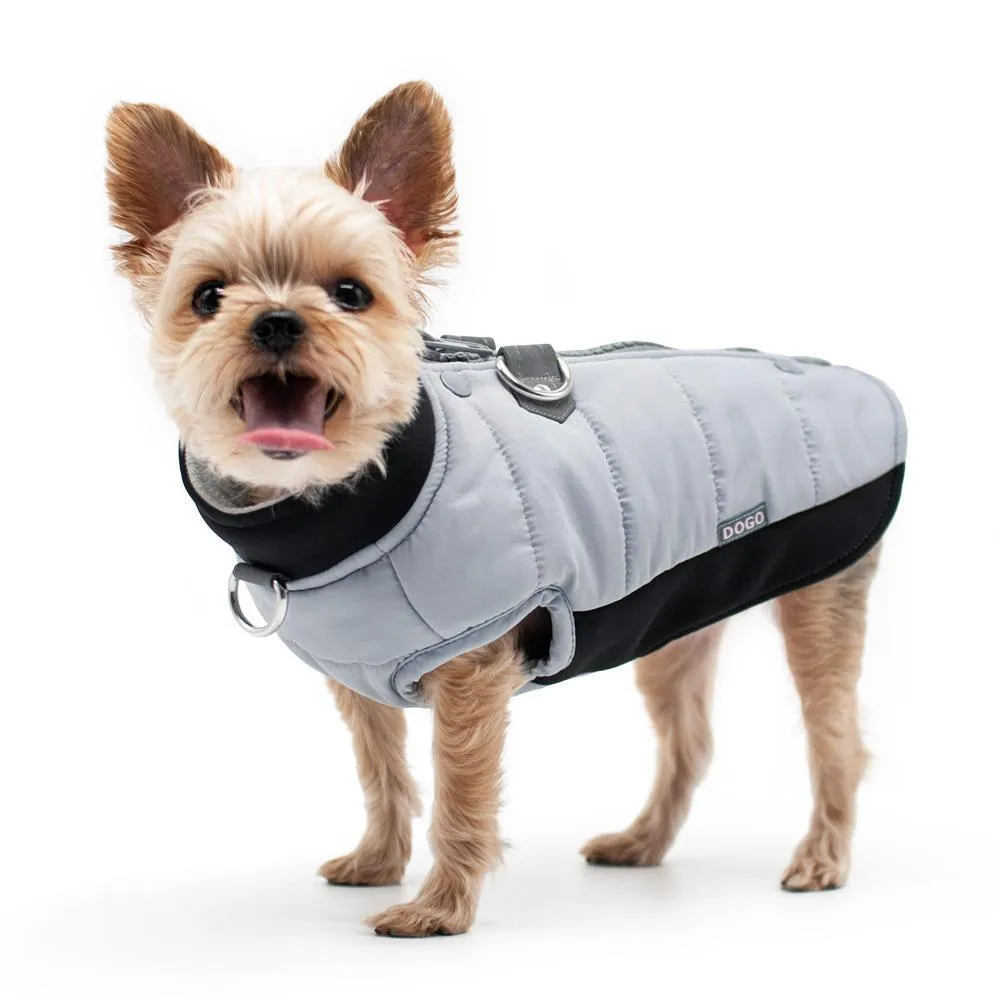 Urban Runner Dog Coat Grey