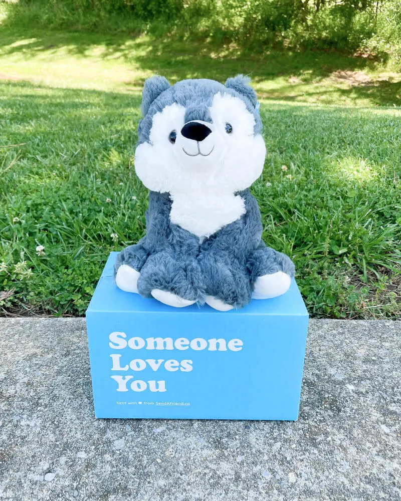 Winston the Wolf 🐺